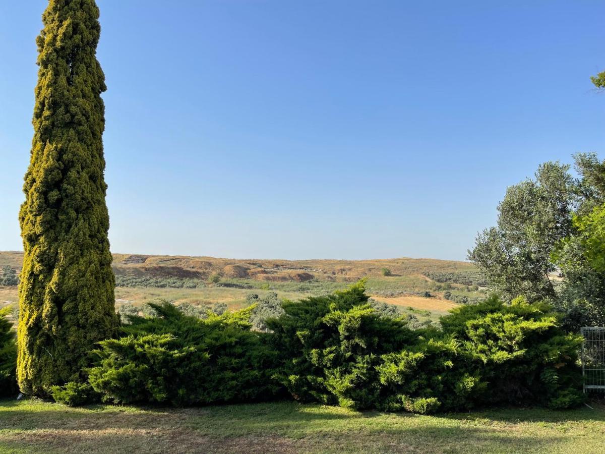 Villa Ba'Gefen Karmei Yosef 외부 사진